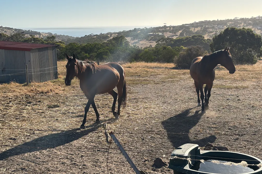 7/Hidden Valley Lane, Boston, SA, 5607 - Image 9