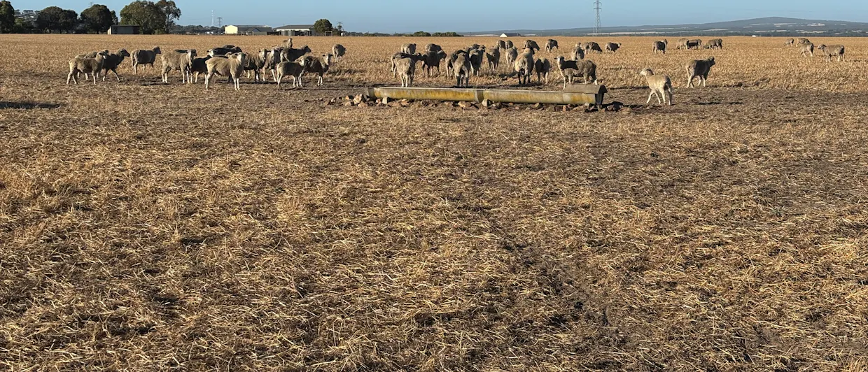 7/Hidden Valley Lane, Boston, SA, 5607 - Image 22