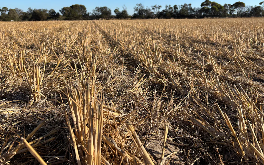 7/Hidden Valley Lane, Boston, SA, 5607 - Image 13