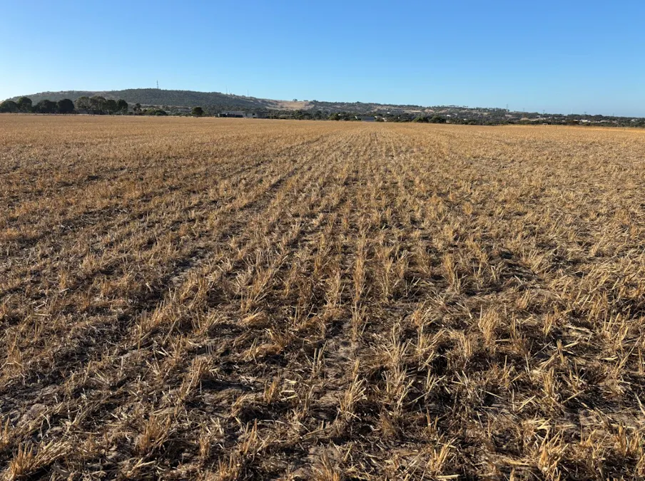 7/Hidden Valley Lane, Boston, SA, 5607 - Image 29