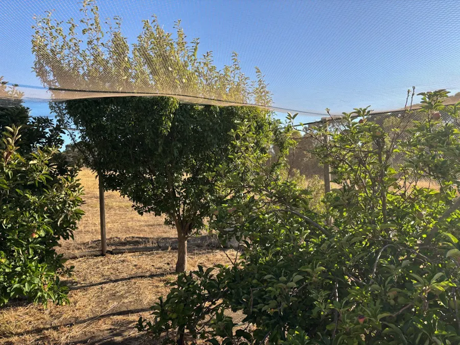 7/Hidden Valley Lane, Boston, SA, 5607 - Image 26