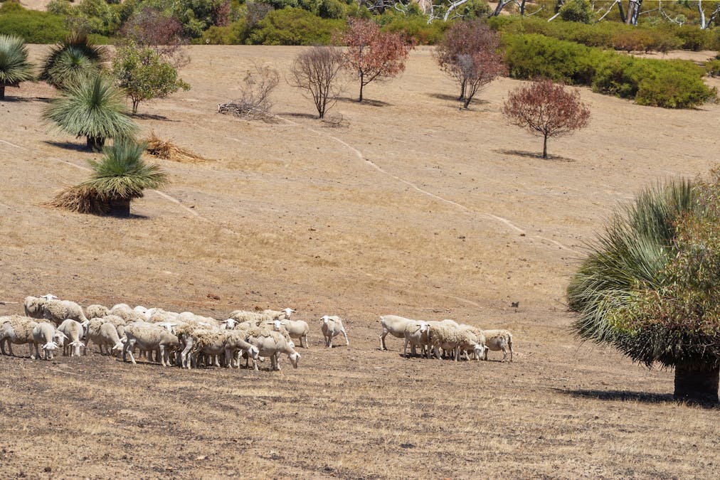 518 Range Road, Stokes Bay, SA, 5223 - Image 8