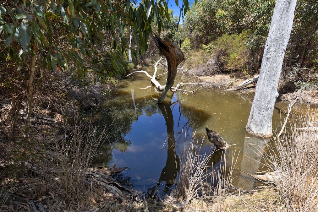 518 Range Road, Stokes Bay, SA, 5223 - Image 10