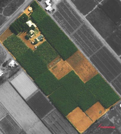 600 South River Road, South Plantations, WA, 6701 - Image 1