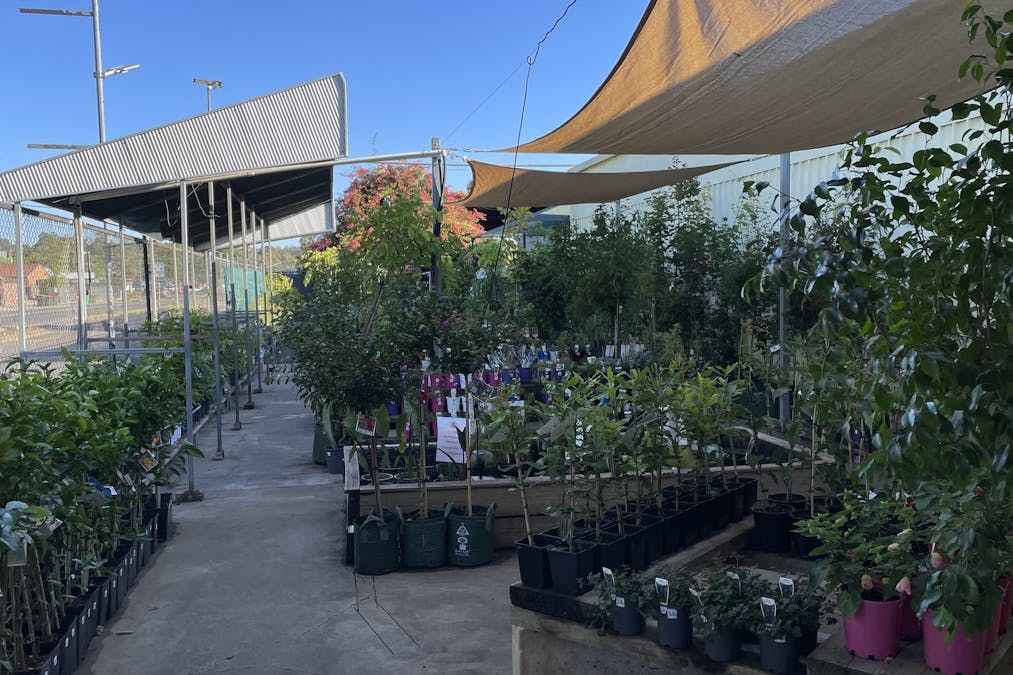 47 Southwest Highway, Donnybrook, WA, 6239 - Image 15