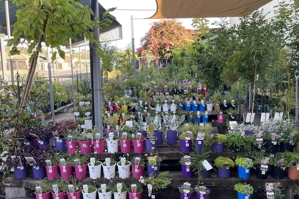 47 Southwest Highway, Donnybrook, WA, 6239 - Image 16