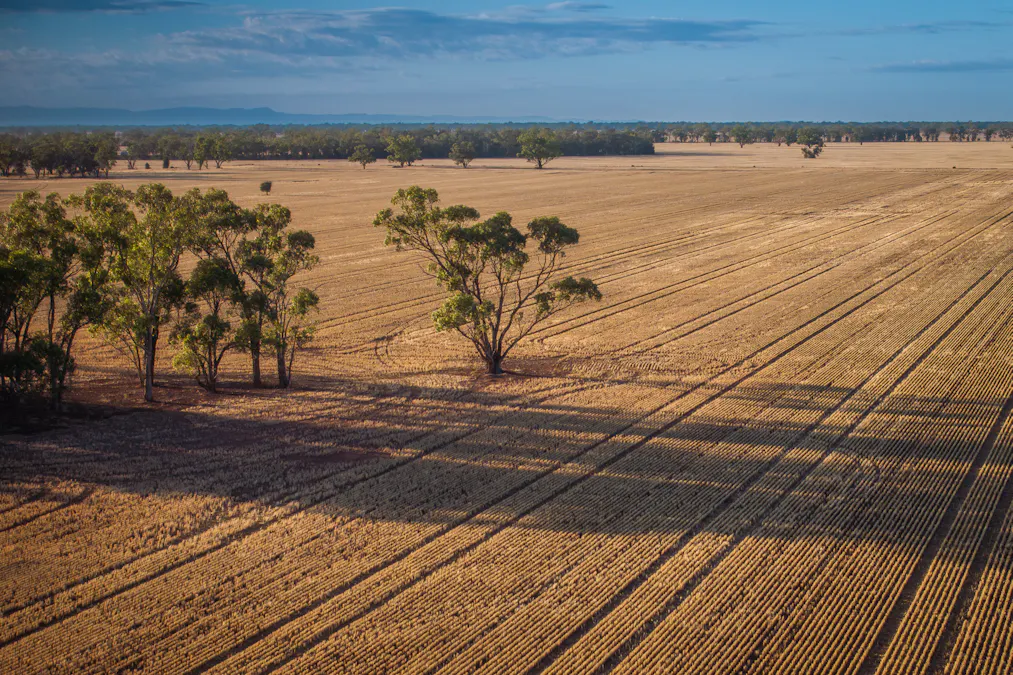 1048 Wyanga Road, Narromine, NSW, 2821 - Image 6