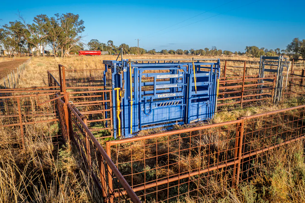 1048 Wyanga Road, Narromine, NSW, 2821 - Image 26