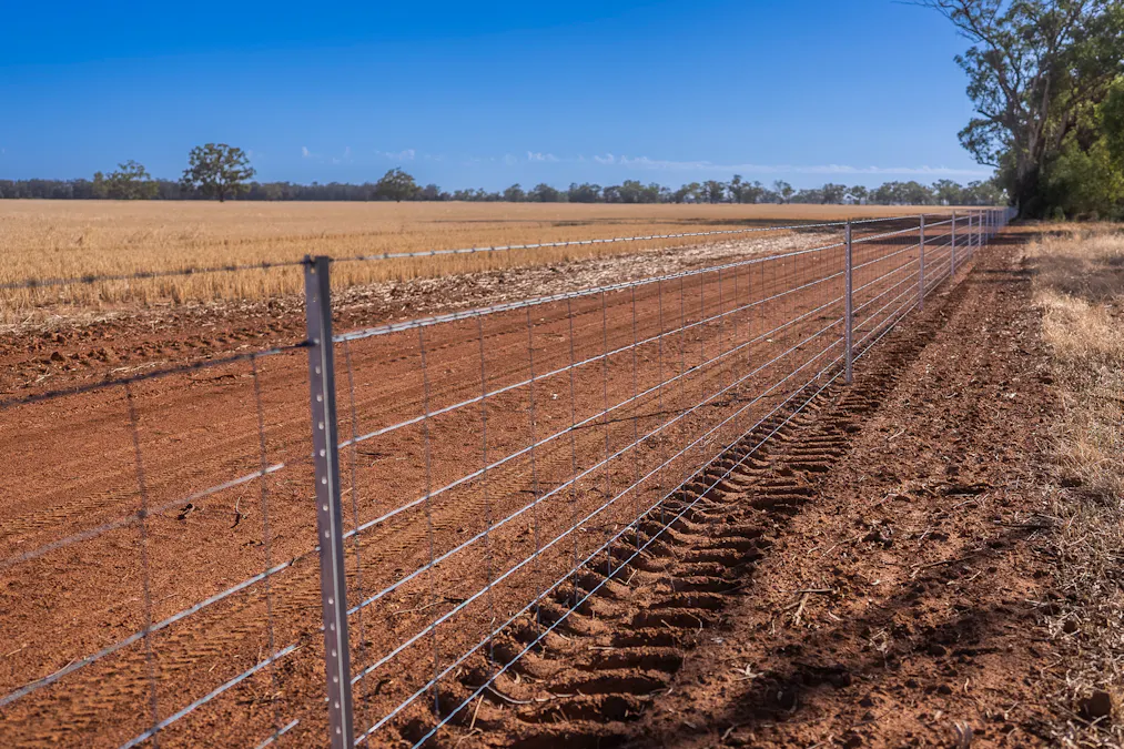 1048 Wyanga Road, Narromine, NSW, 2821 - Image 10