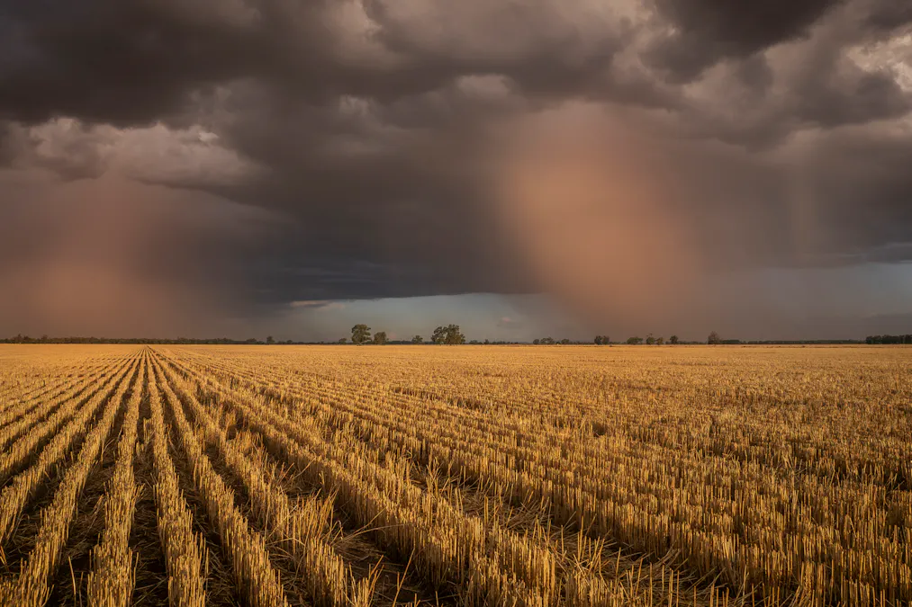 1048 Wyanga Road, Narromine, NSW, 2821 - Image 1