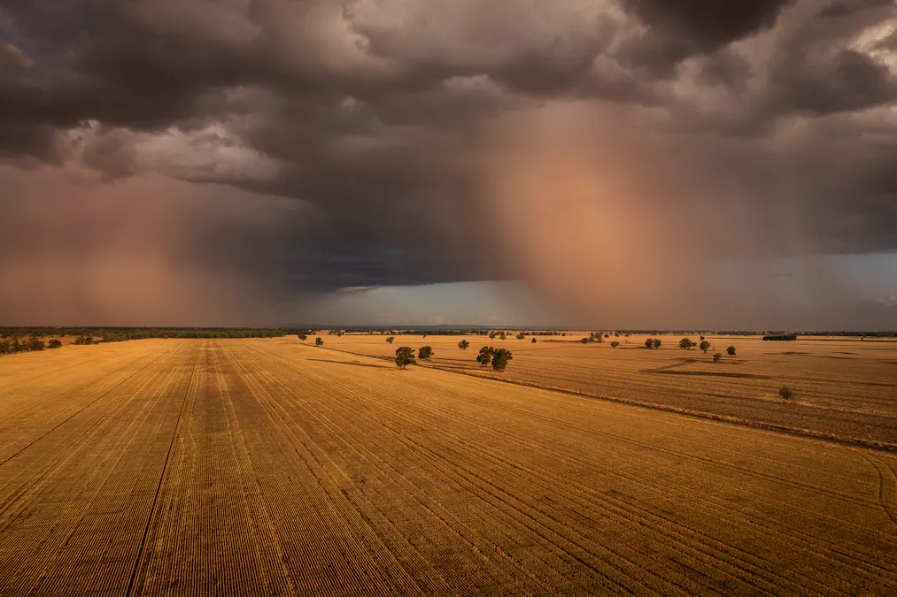 1048 Wyanga Road, Narromine, NSW, 2821 - Image 32