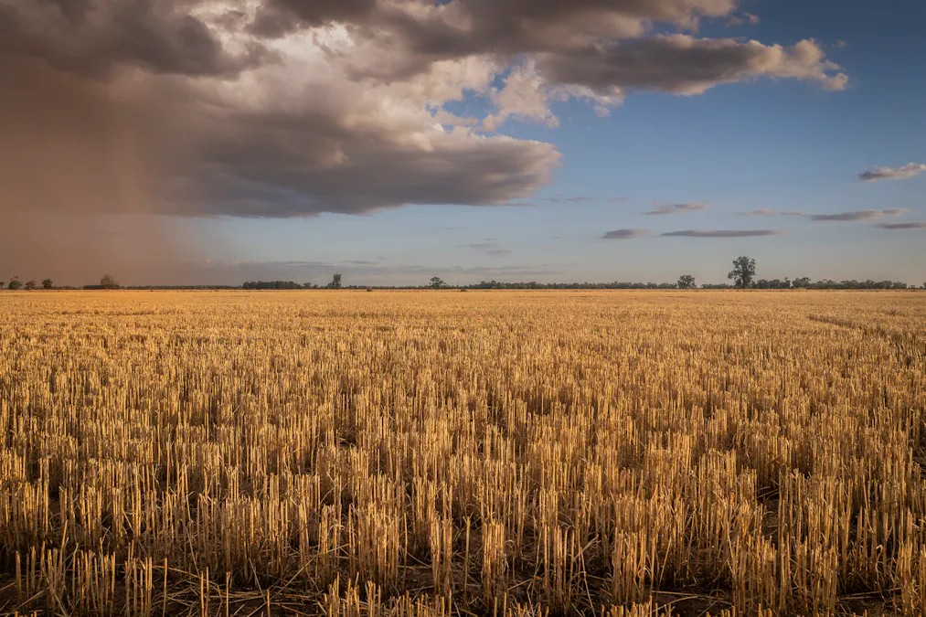 1048 Wyanga Road, Narromine, NSW, 2821 - Image 3