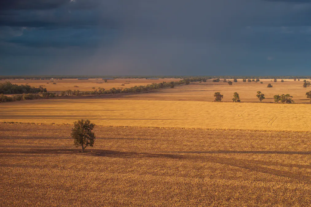 1048 Wyanga Road, Narromine, NSW, 2821 - Image 2