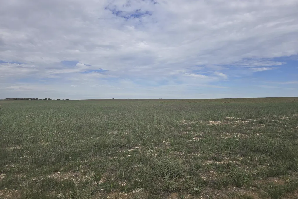 942 Baumgurtel Road, Wynarka, SA, 5306 - Image 1