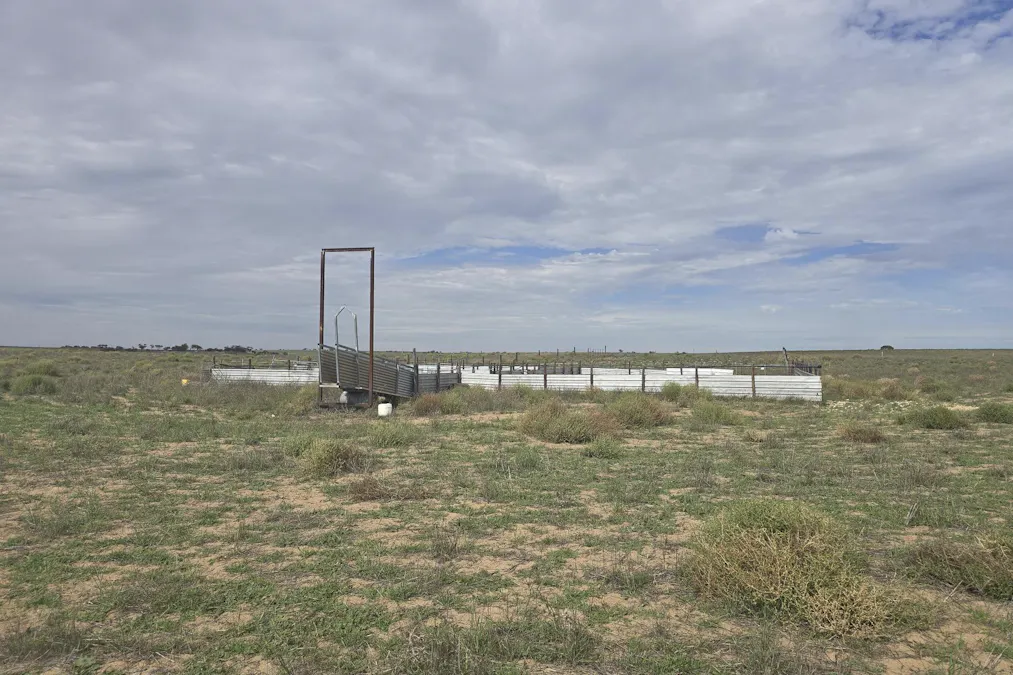 942 Baumgurtel Road, Wynarka, SA, 5306 - Image 2
