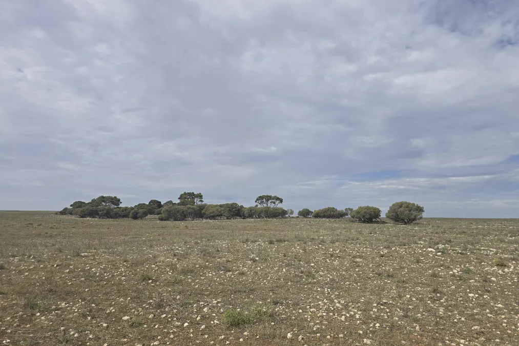 942 Baumgurtel Road, Wynarka, SA, 5306 - Image 6