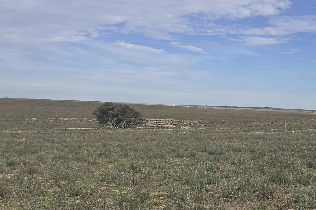 942 Baumgurtel Road, Wynarka, SA, 5306 - Image 7