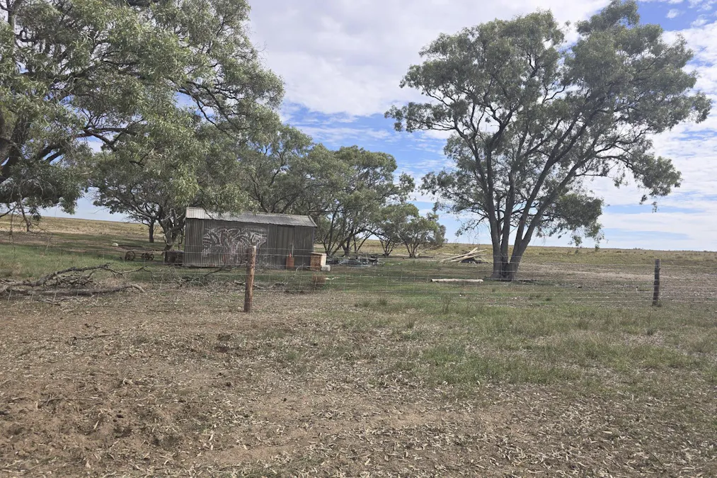 942 Baumgurtel Road, Wynarka, SA, 5306 - Image 8