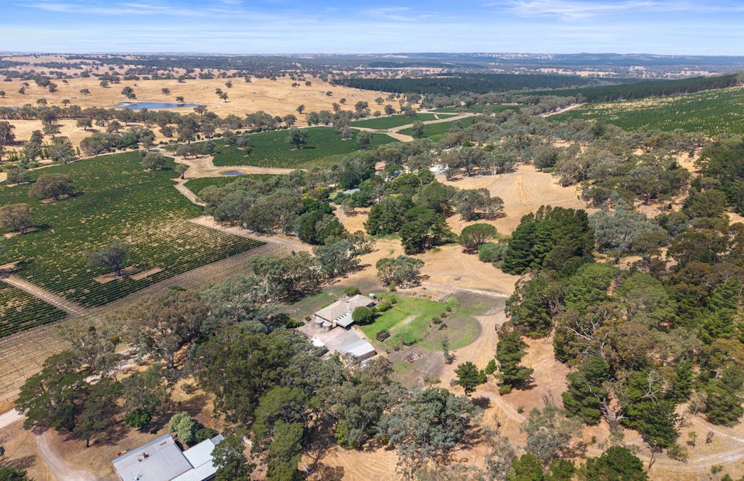 157 Blockers Road, Pewsey Vale, SA, 5351 - Image 31