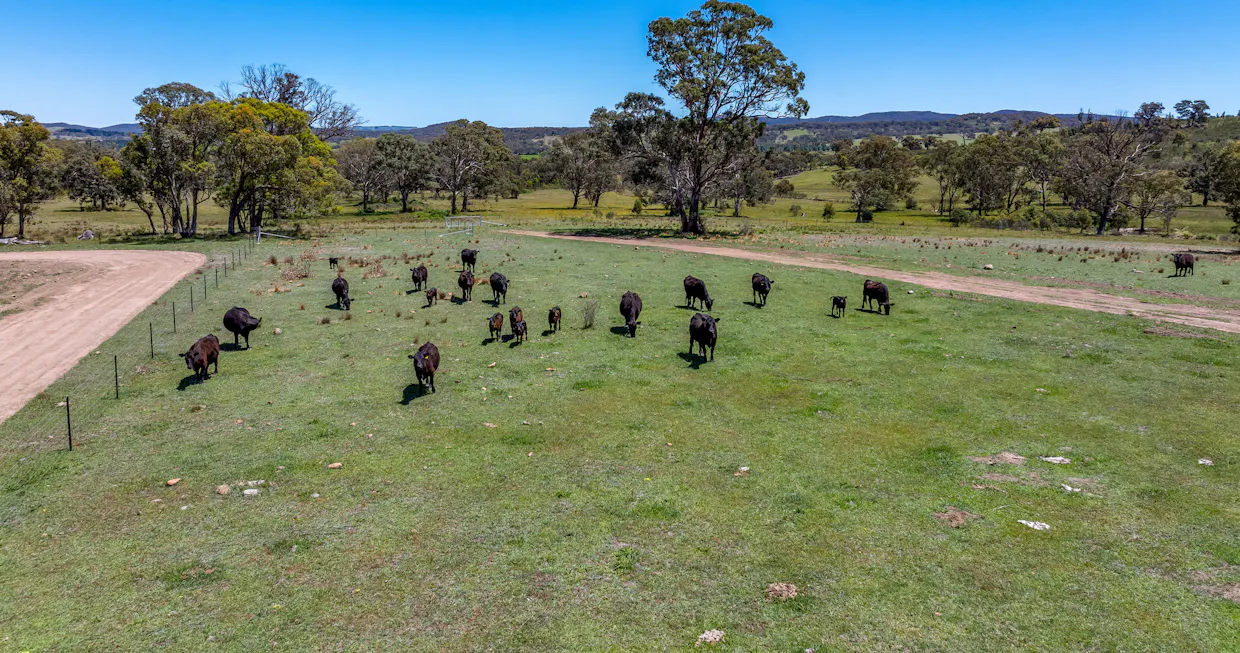 80 - 83/278 Campbells Lane, Goulburn, NSW, 2580 - Image 8