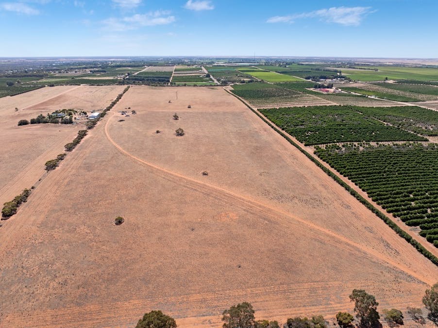 115 Rowland Road Road, Ramco Heights, SA, 5322 - Image 10