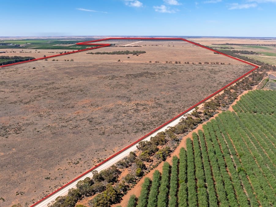 115 Rowland Road Road, Ramco Heights, SA, 5322 - Image 1