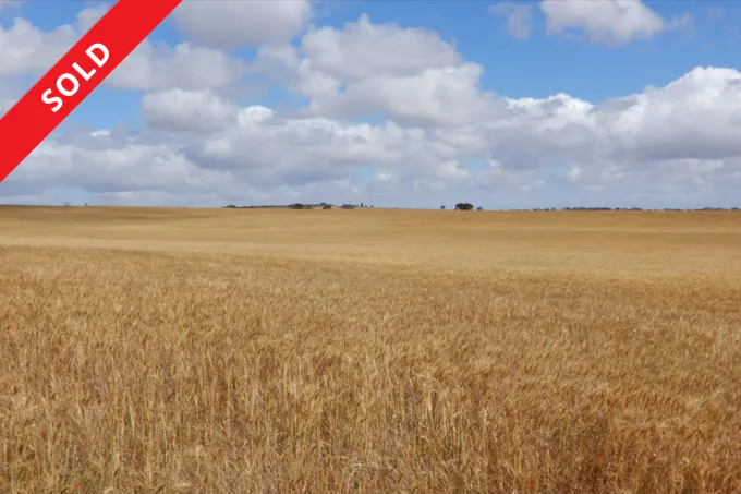 33 Lutze Road, Coonalpyn, SA, 5265 - Image 1