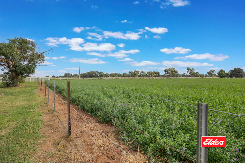 315 Bamawm Road, Echuca, VIC, 3564 - Image 3