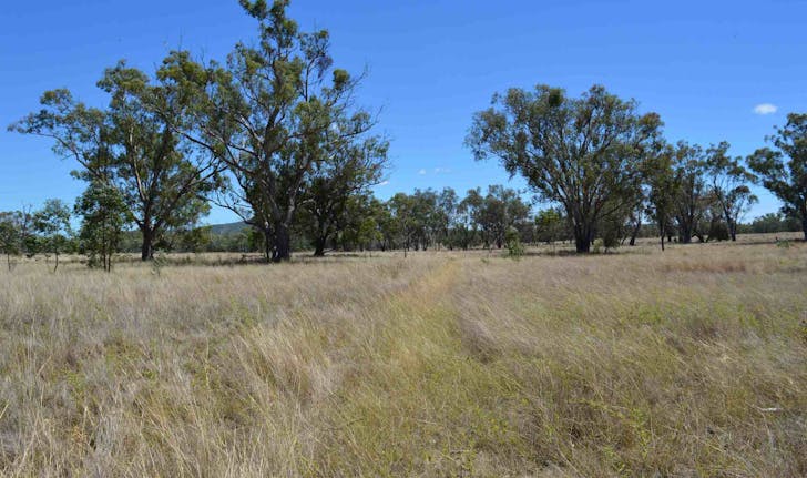 247 Uandi Road, Warroo, QLD, 4387 - Image 1