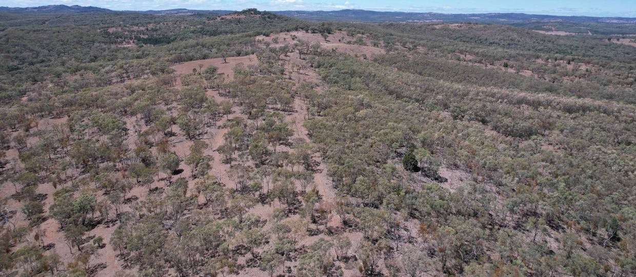 247 Uandi Road, Warroo, QLD, 4387 - Image 23