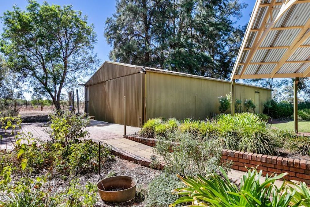 491 Dalziel Road, Winkie, SA, 5343 - Image 23