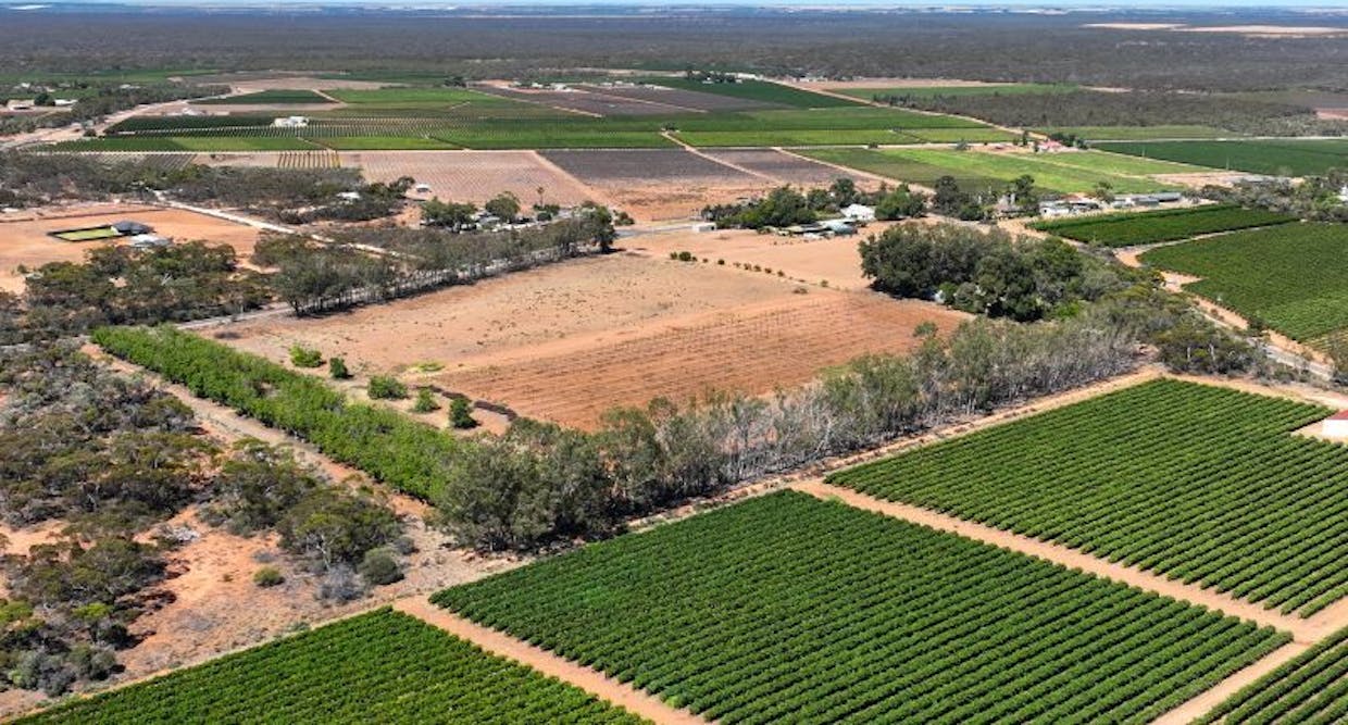 491 Dalziel Road, Winkie, SA, 5343 - Image 28