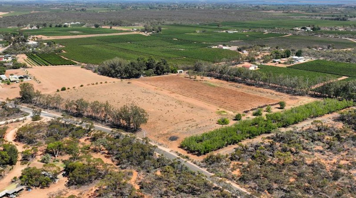 491 Dalziel Road, Winkie, SA, 5343 - Image 29