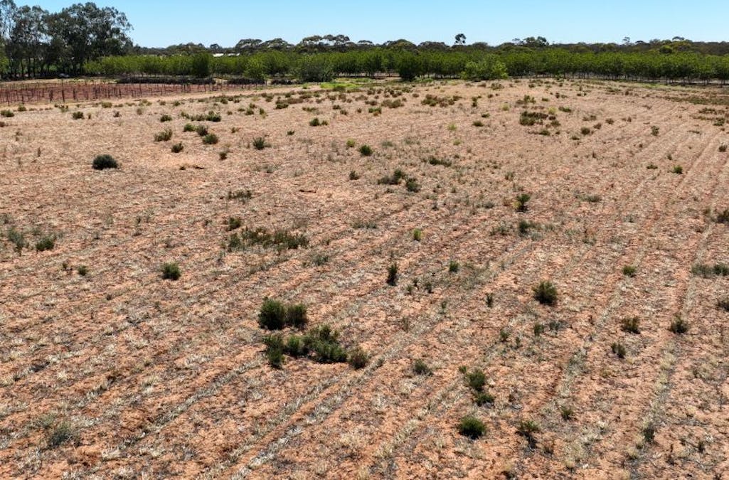 491 Dalziel Road, Winkie, SA, 5343 - Image 32