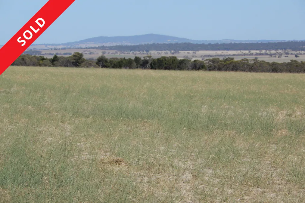 LOT 2 & 3 Mountain View Road, Monarto South, SA, 5254 - Image 1