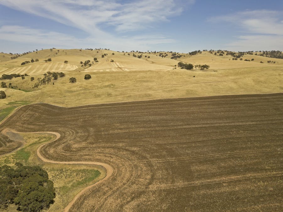 228A Cas Hawker Road, Clare, SA, 5453 - Image 3