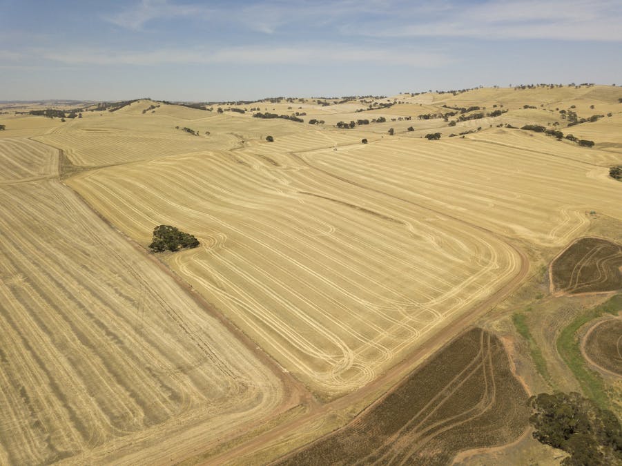 228A Cas Hawker Road, Clare, SA, 5453 - Image 4