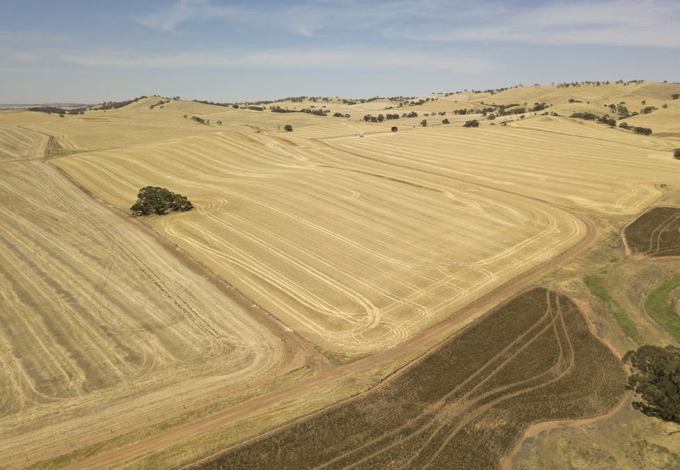 228A Cas Hawker Road, Clare, SA, 5453 - Image 7