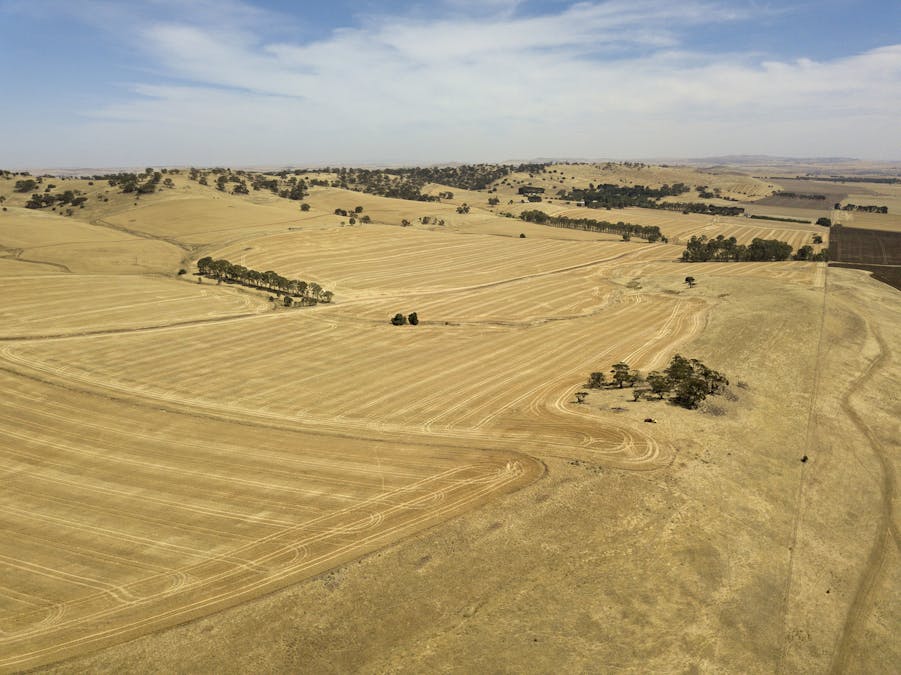 228A Cas Hawker Road, Clare, SA, 5453 - Image 10