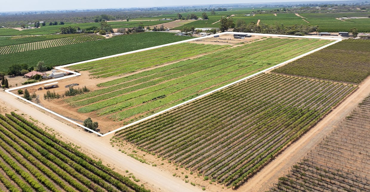 31  Rumball Road, Winkie, SA, 5343 - Image 11