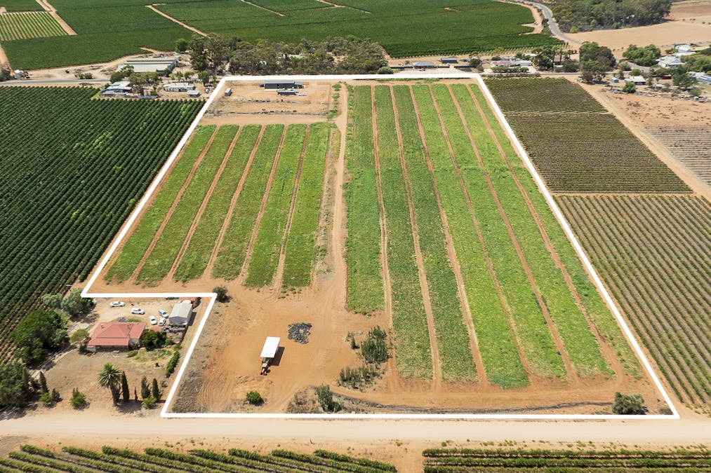 31  Rumball Road, Winkie, SA, 5343 - Image 12