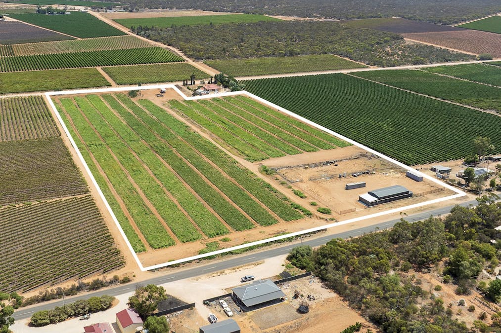 31  Rumball Road, Winkie, SA, 5343 - Image 3