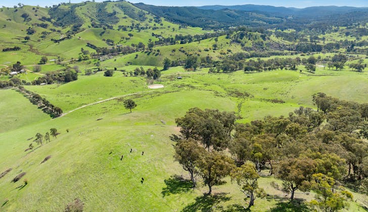 62 Hells Hole Creek Road, Bonnie Doon, VIC, 3720 - Image 1