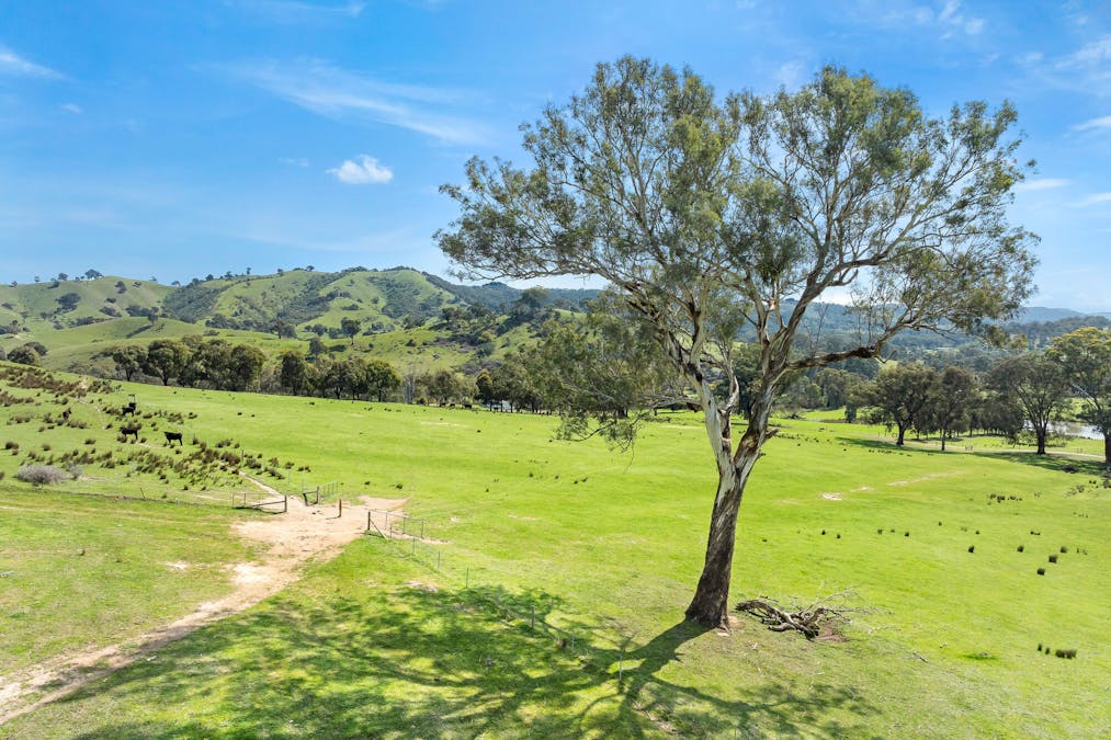 62 Hells Hole Creek Road, Bonnie Doon, VIC, 3720 - Image 3