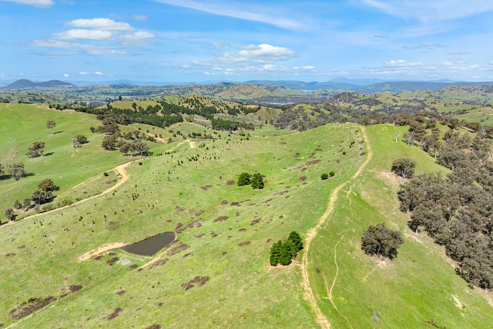 62 Hells Hole Creek Road, Bonnie Doon, VIC, 3720 - Image 5