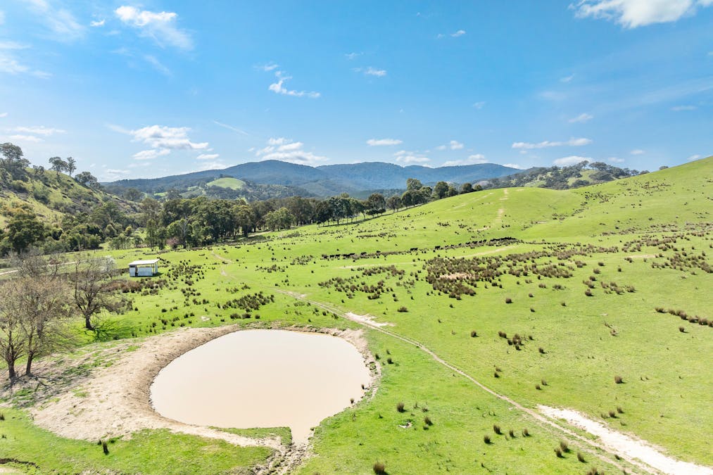 62 Hells Hole Creek Road, Bonnie Doon, VIC, 3720 - Image 8