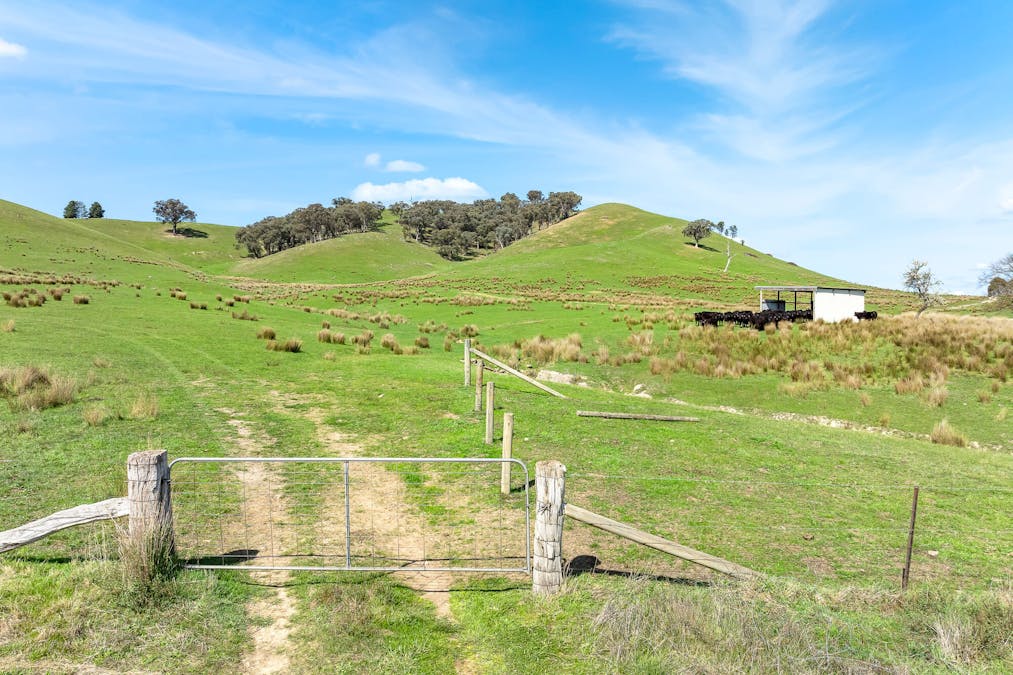 62 Hells Hole Creek Road, Bonnie Doon, VIC, 3720 - Image 9