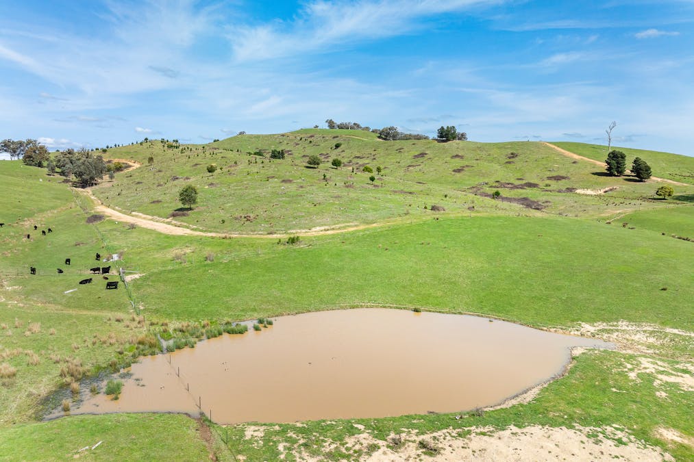 62 Hells Hole Creek Road, Bonnie Doon, VIC, 3720 - Image 11