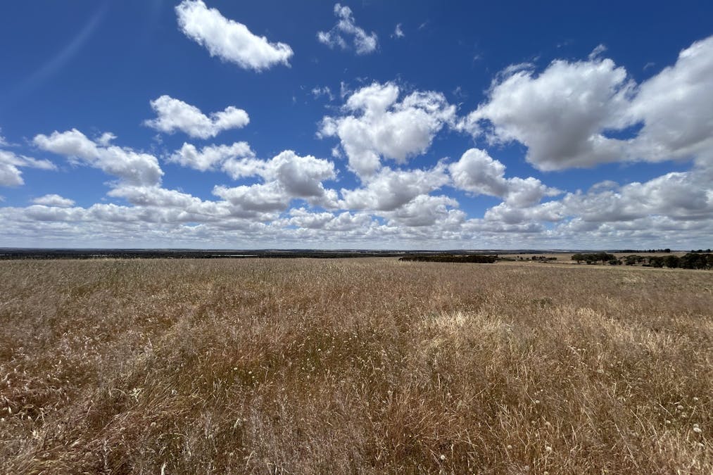 905 Coomberdale Road West, Coomberdale, WA, 6512 - Image 24