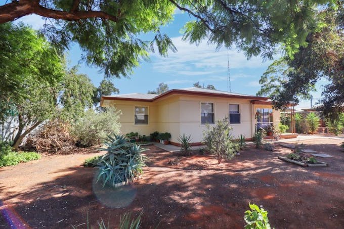 1 Collins Street, Barmera, SA, 5345 - Image 1